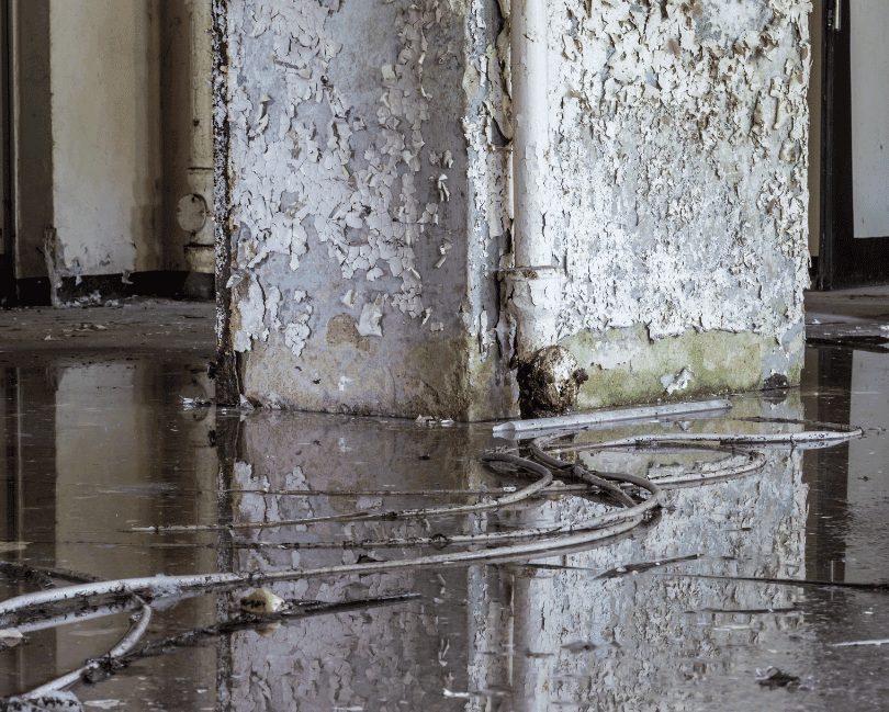 Flooded interior