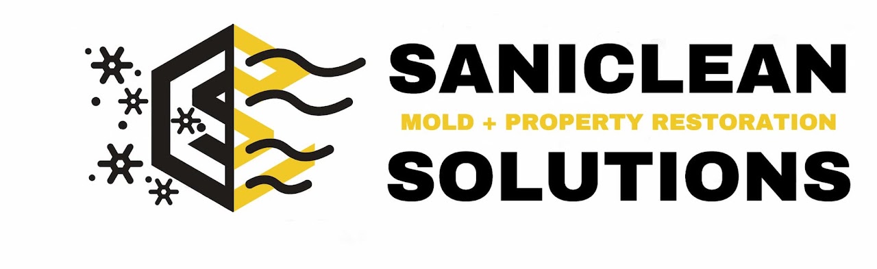 SaniClean Solutions — Mold + Property Restoration