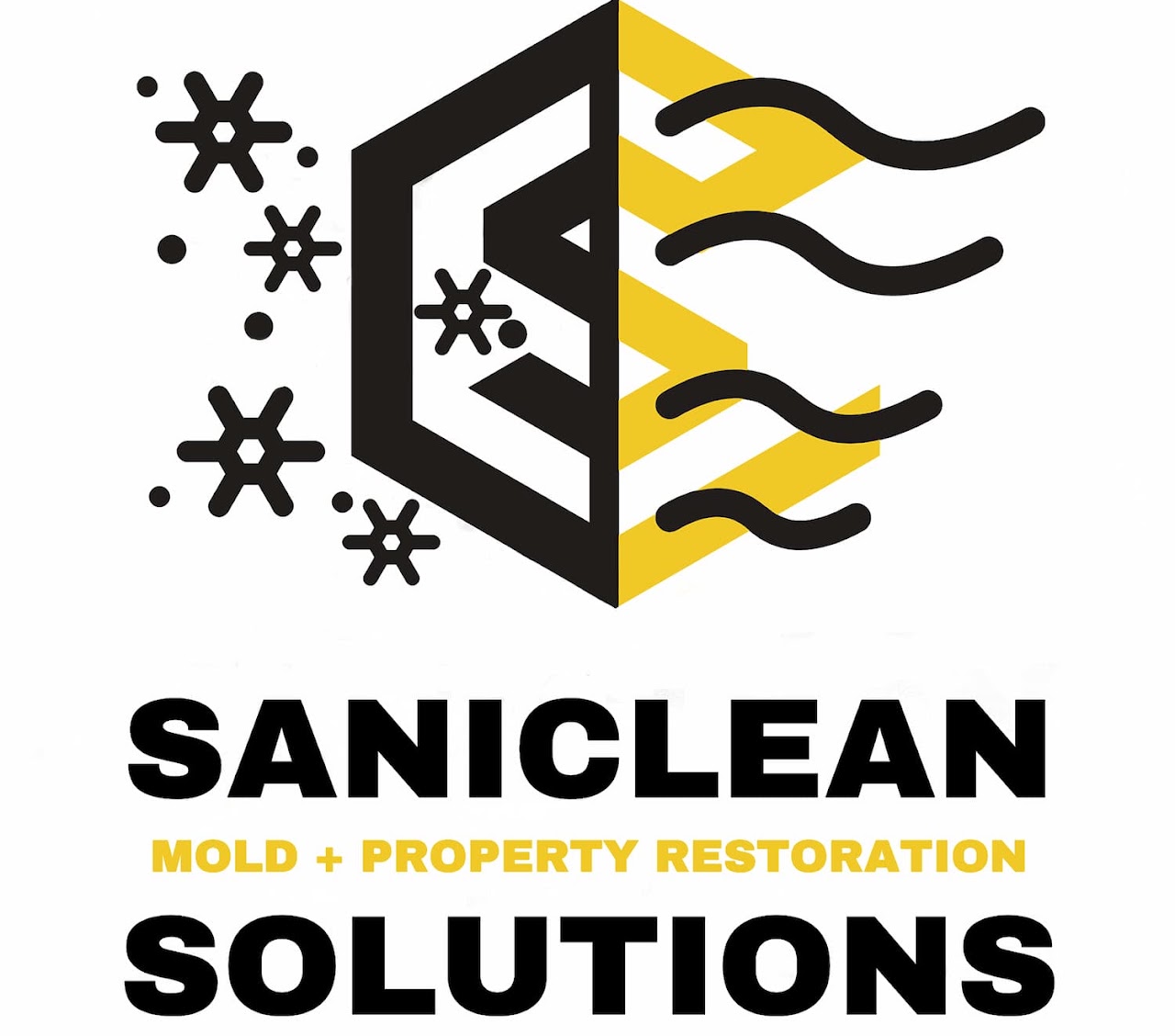 SaniClean Solutions logo